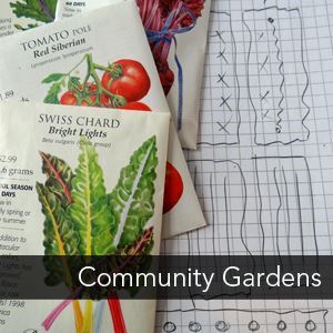 Community Gardens