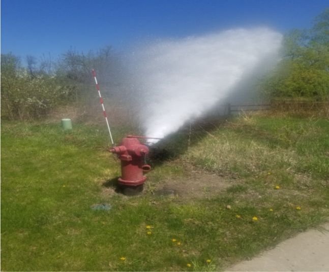 Screenshot 2026-02-13 120322